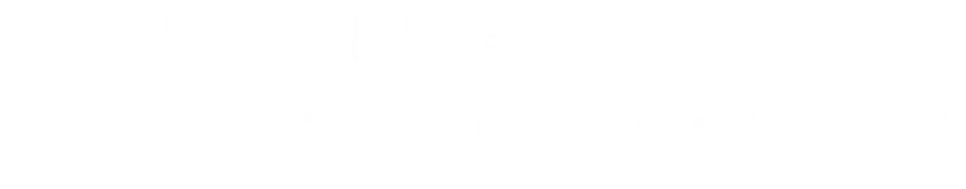 EIGHT SEAS INC. footer logo